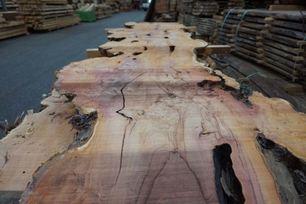 boomstamtafels boomstamtafel
