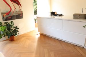 9x54 duoplank visgraat amsterdam